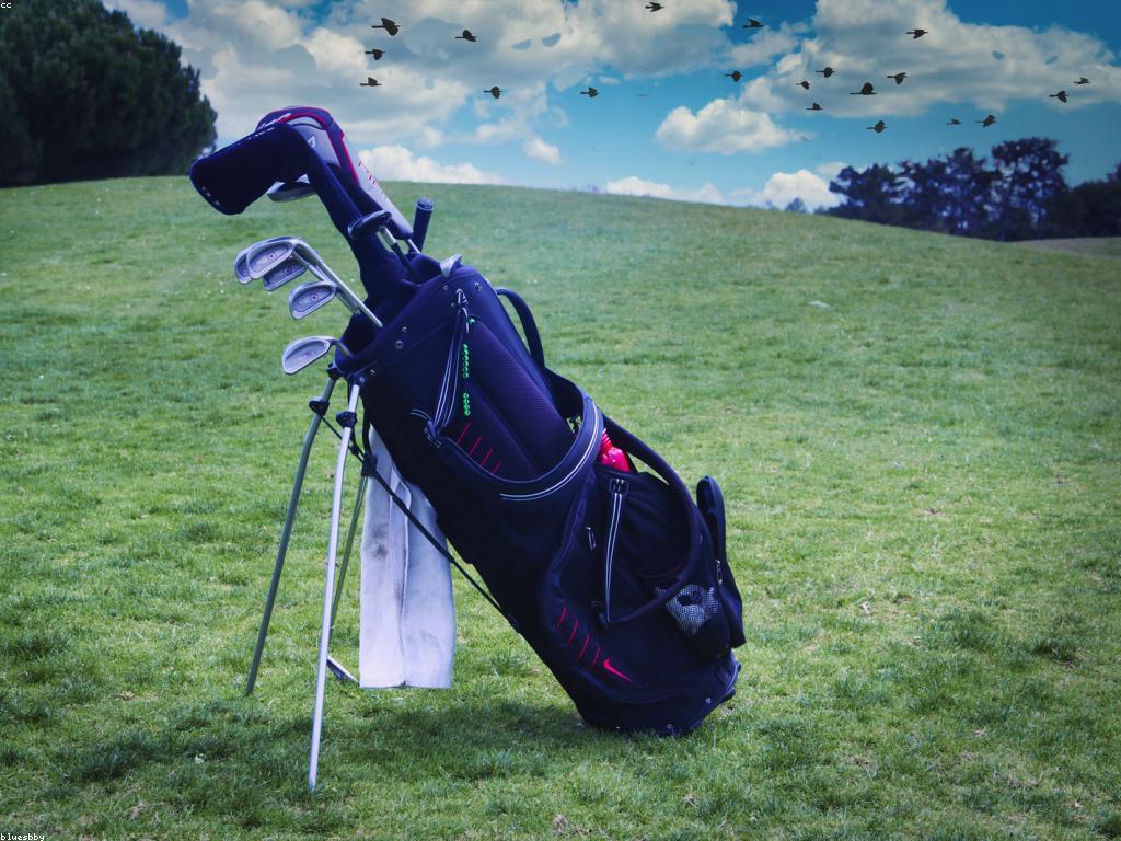 ααααΆαααααα»αααααΈ: ααΆααααα αΆααα·ααααααααα