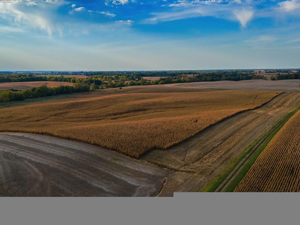 គ្រាប់ស្លុតថ្មី: ដំណើរការនៃការប្រែប្រួលនៃជម្លោះស្រាល